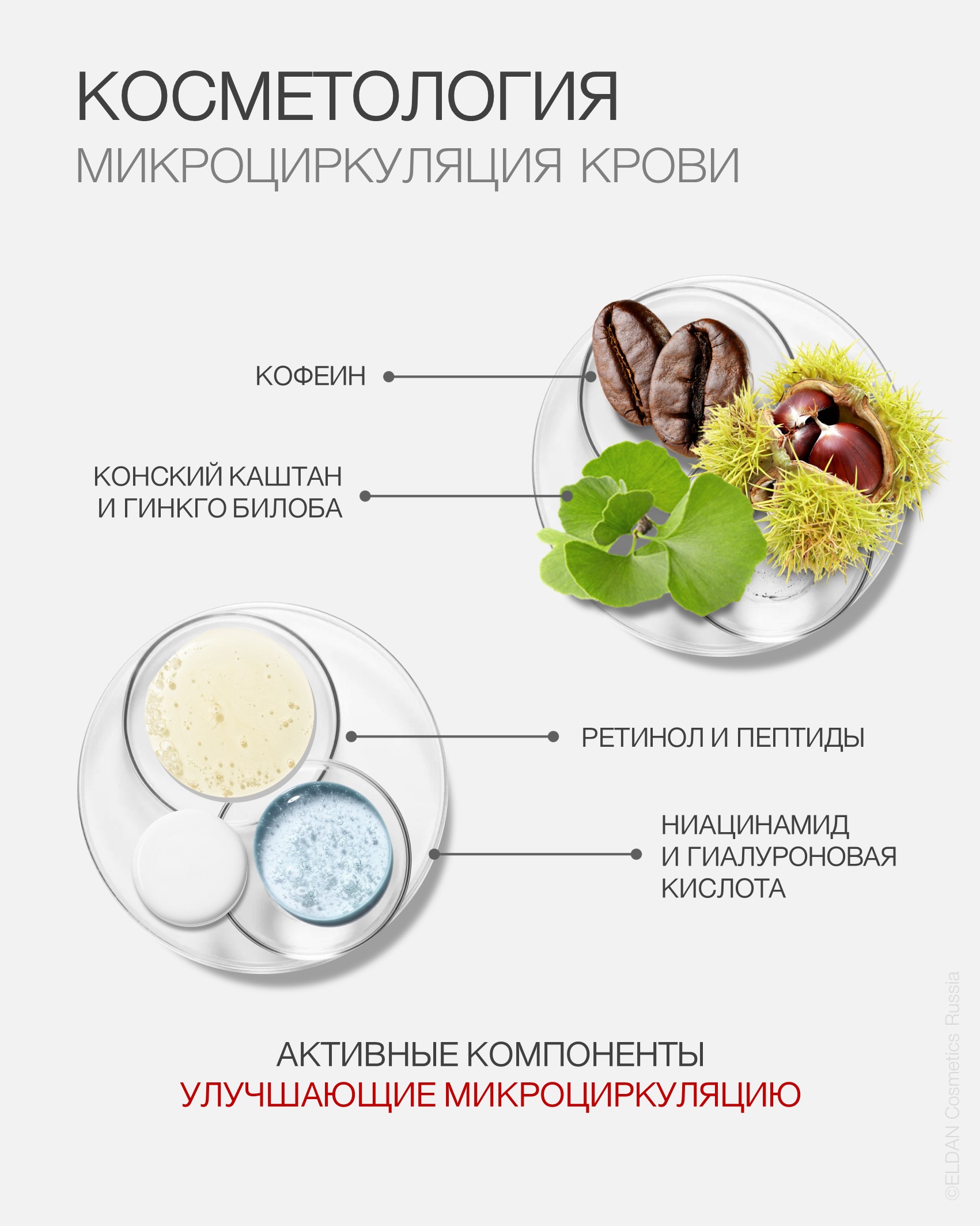 Пост микроциркуляция 5.jpg Пост микроциркуляция 5.jpg